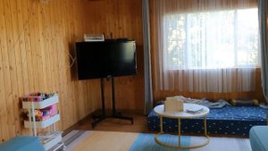 Как и чем красить деревянные стены. Как сделать бюджетный ремонт гостиной.