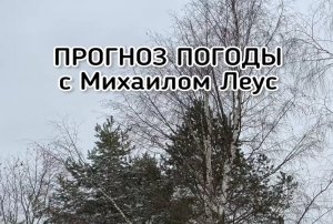 Из снегопадов в оттепели или о погоде российских столиц 16-17 декабря
