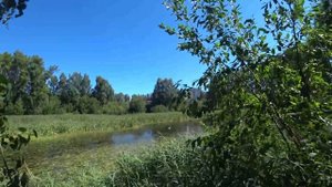 Грузоперевозки на Ниссан Атлас. Как заработать на маленьком грузовичке.