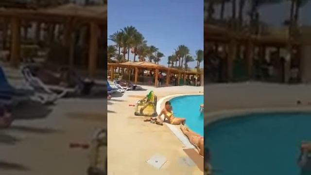 بالم بيتش ريزورت смотреть онлайн