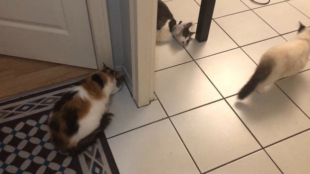 Офигенная офранцуженная ЯЖмать Даёт Детям Вредную Еду смотреть онлайн