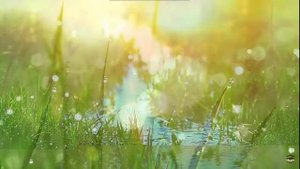 Коран для Успокоения Нерв ,Души, Сердца.от Усталости ..... Нур Ислам