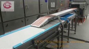 Линия колбасных чипсов.mp4