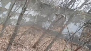 Сталк. Руины брошенного пионерского лагеря "звёздочка"