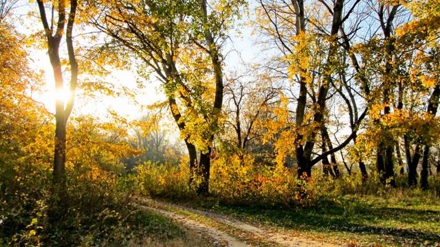 Прощание с осенью... смотреть онлайн