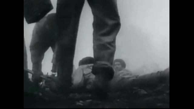 Natalia Cardone - Commandante Che Gevara.avi