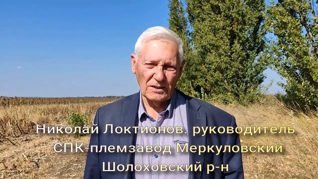 Как идет уборка подсолнечника на севере Ростовской области в 2023 году.