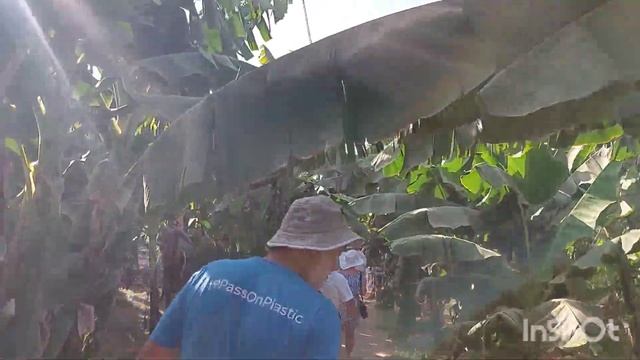 Египет.Луксор.Река Нил,вот это крокодил /банановый остров/как растут бананы/#Египет#Луксор#Нил# смотреть онлайн