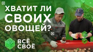 Всё своё. Хватит ли своих овощей?