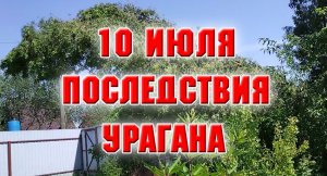 10 июля. Последствия урагана.mp4