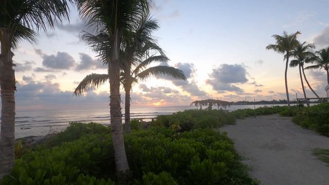 5 Hours of Chill Beach Jazz Samba Music for Study, Rest and Relaxation | Best of Bossa Nova 2023 смотреть онлайн