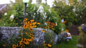 Как выровнять наклонный участок на даче? Копаем пруд!