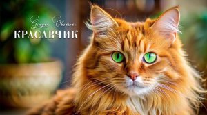 Старые песни о главном от РИОЛИС @theRIOLIS