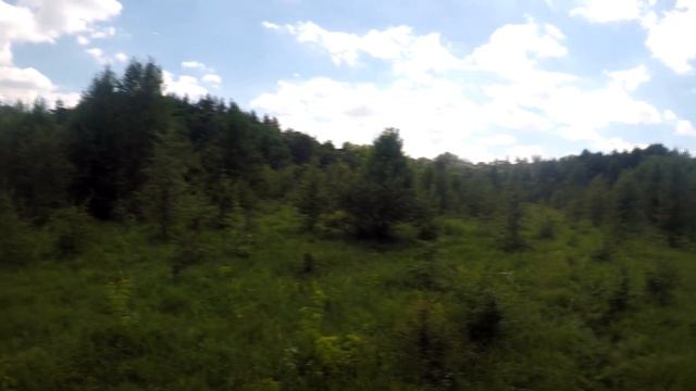 Что делать если хочешь быть фермером, а земли не хватает. Трактор Т40 корчует деревья на участке смотреть онлайн