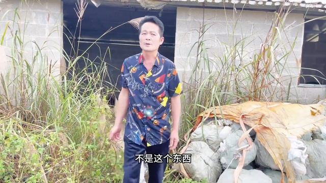 农村老家被征收了，老爸得知消息赶紧带小凤来看，这下发财了 смотреть онлайн