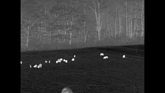 Sonderedition Liemke Challenger-35, Praxistest der Wärmebildkamera смотреть онлайн