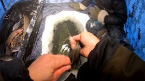 Проверка сети! Сети FISHING PRO Геннадия! Рыбалка на сеть! Рыбалка 2022!