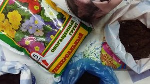 Обеззараживание почвы для рассады. Двойная заморозка.