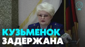 Любовь Кузьменок задержали — ей грозит до 15 лет лишения свободы