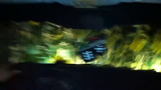 Полет валькирии сквозь подсолнухи смотреть онлайн