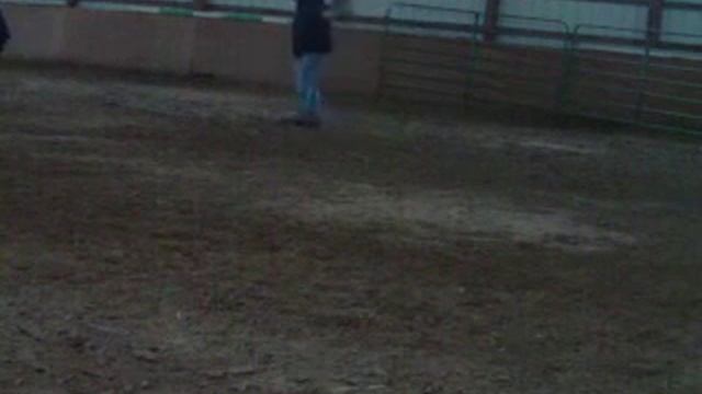 Why We Need Herding Dogs Part 1 смотреть онлайн