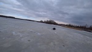 ПЛОТВА НА БЕЗМОТЫЛКУ В ФЕВРАЛЕ НА РЕКЕ СИТЬ . В БРЕЙТОВО .