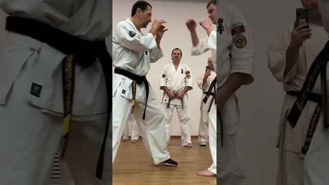 Кёкусин-Кик / Сихан Станислав Винокуров / Удары руками в голову и защита от них смотреть онлайн