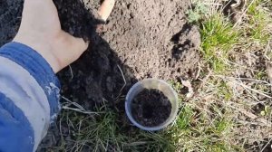 Лёгкий способ посадки семян для получения рассады и откуда брать землю для посадки семян!