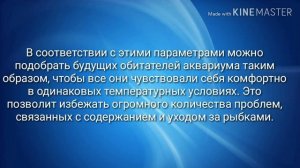 Как правильно подготовить воду для аквариума