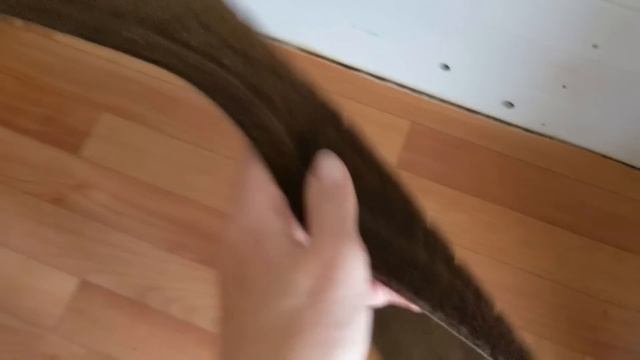 # 186. Без дела не сидим. Что успели за три дня. Загородная жизнь с нуля 2023