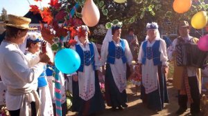 Дожинки 2015 Сенненского района (Коковчинское подворье)