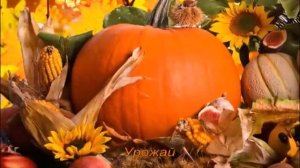 ОСЕНЬ. ВРЕМЕНА ГОДА - РАЗВИВАЮЩЕЕ ВИДЕО ДЛЯ ДЕТЕЙ