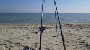 ОБЗОР УДИЛИЩ: Kalipso NAVIGATOR/Fishing roi dynamic carp rod