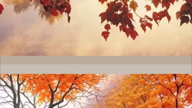 осень осень раз два три ты нам краски подари