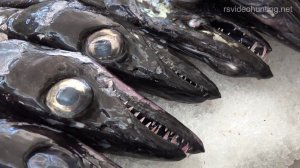 Madeira 1, Мадейра 1