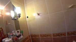 РАЗРУШЕНИЕ ПОЛИПРОПИЛЕНА С АЛЮМИНИЕВОЙ ФОЛЬГОЙ НА ГОРЯЧЕМ ВОДОСНАБЖЕНИЕ