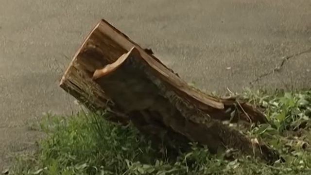 #МОЙПОДЪЕЗД: глава района осмотрел подъезды после ремонта смотреть онлайн