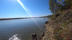 ЛОВЛЯ САЗАНА НА ОБИ В СЕНТЯБРЕ. Обской коряжник порадовал!