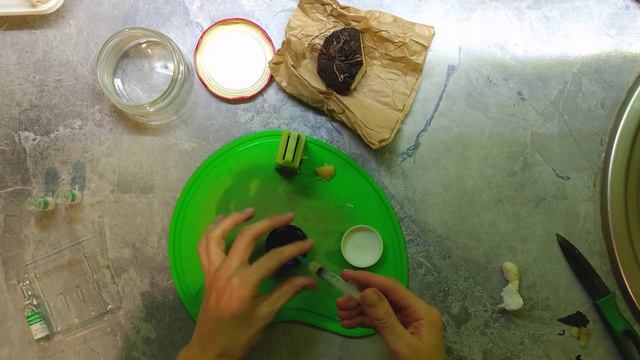 Как я готовлю капли из цикламена!