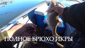 Опа, есть! Безкивковая удочка,что за "зверь"такой? Реально работает!