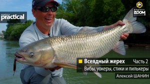 Всеядный жерех. Вибы, уокеры, стики и пилькеры. Алексей Шанин   Часть 2