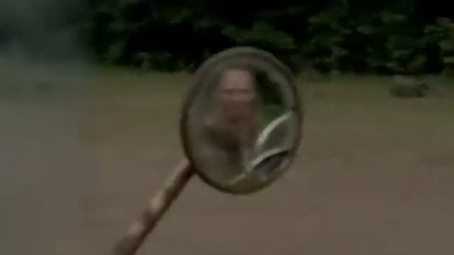 Wrong Turn 2003 Hindi Dubbed By Cinema4u смотреть онлайн