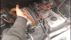 Плавают холостые Газель.