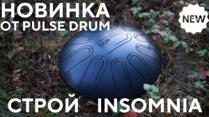 Новинка от PULSE DRUM в строе Insomnia. Глюкофон с загадочным многотональным звучанием