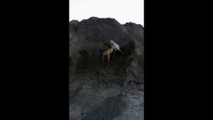 "Жестокий бой Алабая и Южноафриканского Бурбуля!"