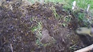 КОМПОСТ НА КРОЛИЧЬЕМ НАВОЗЕ ЗА 2 НЕДЕЛИ!