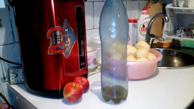 Как избавиться от мышей в квартире