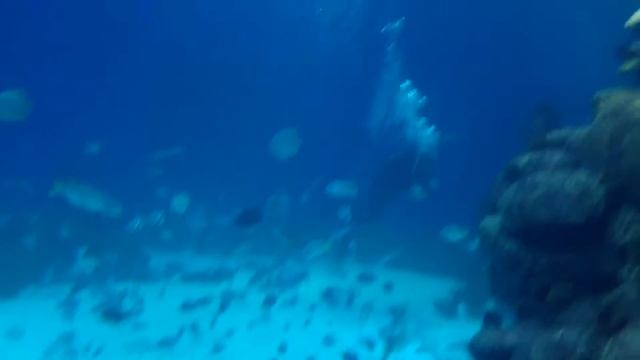 Эйлат, подводная обсерватория смотреть онлайн