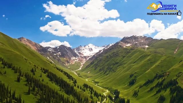 Как Научиться Всегда Принимать Правильное Решение из Двух Выборов l НИКОШО и Толле смотреть онлайн