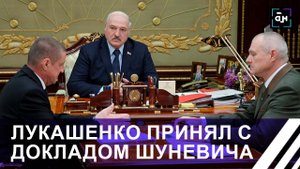 Охотникам в Беларуси разрешат использовать в личных целях добытого дикого кабана
